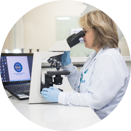 Análise de amostras com microscópio no Laboratório Birck